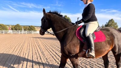 Getting Your Horse Fit for Summer – 6-Week Fitness Plan