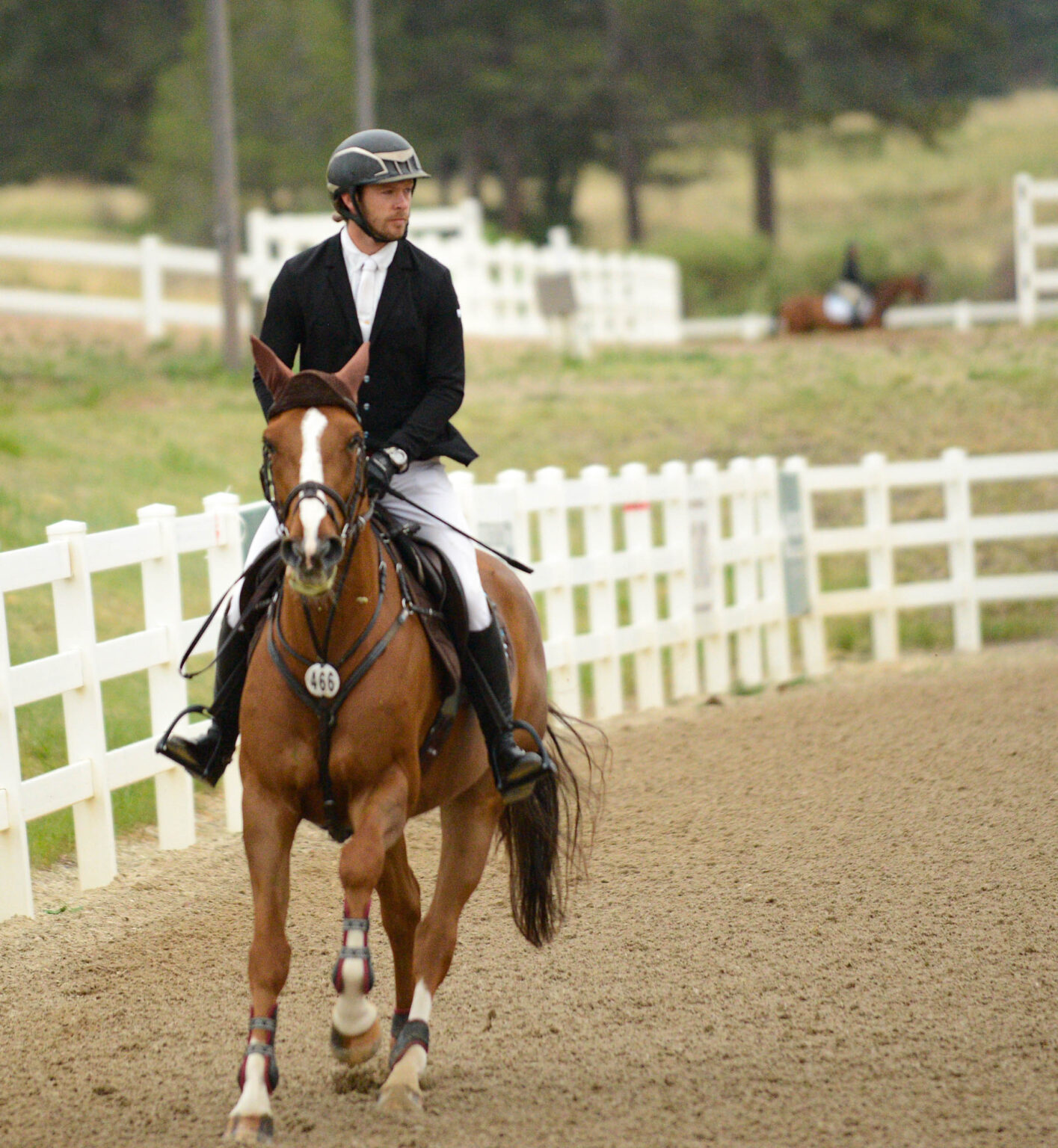 Summertime Horse Shows 2022 Budget Equestrian