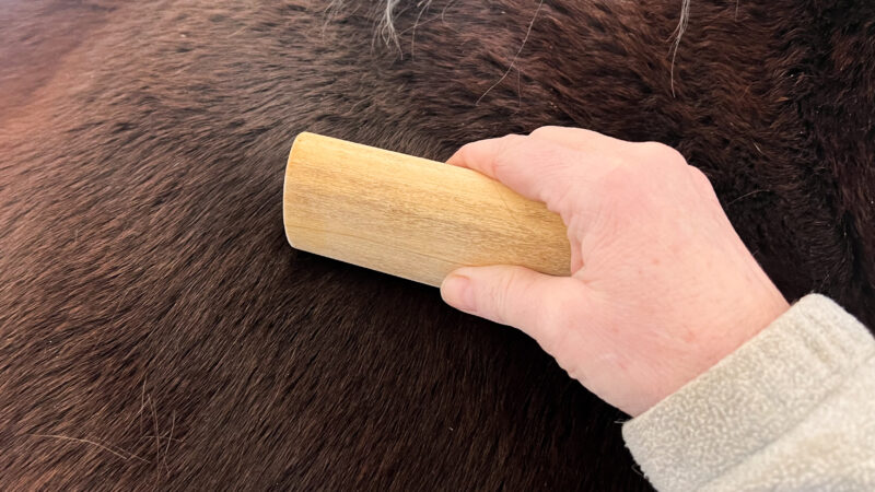 The Best of the Best Shedding Tools for Horses