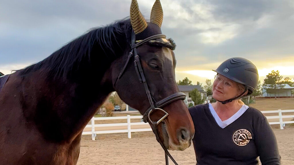 the budget equestrian