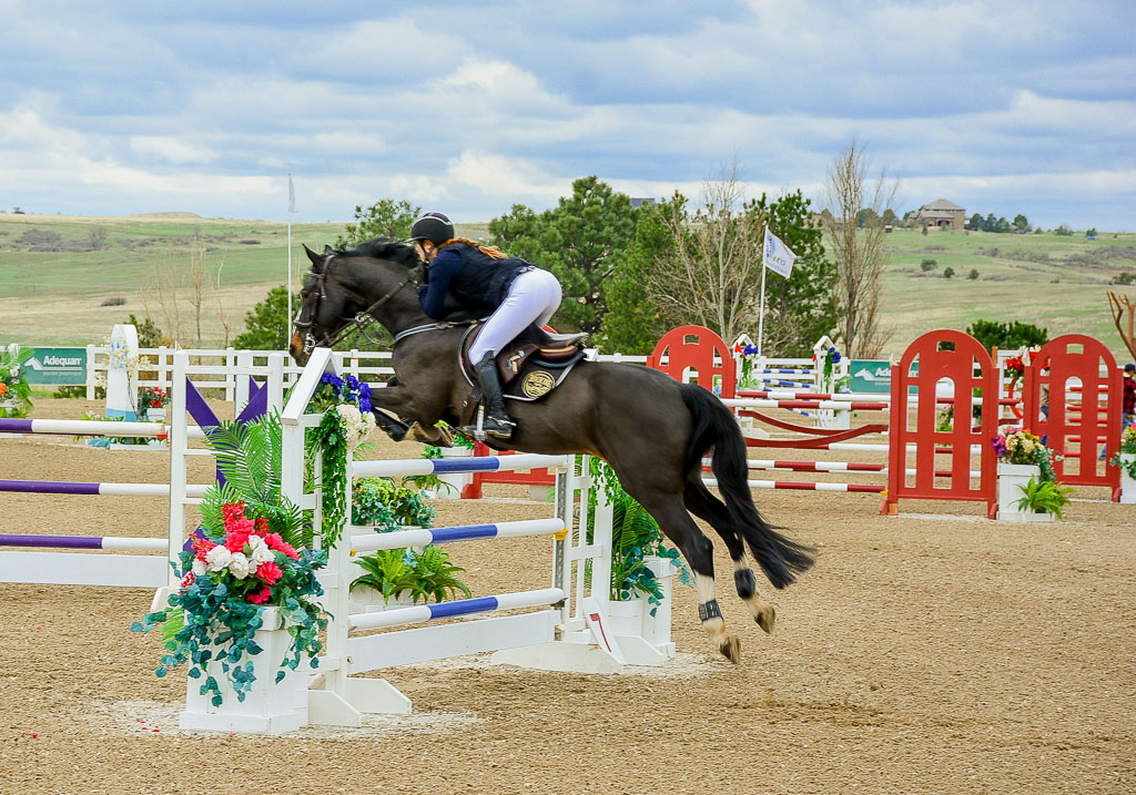Horse show season has begun