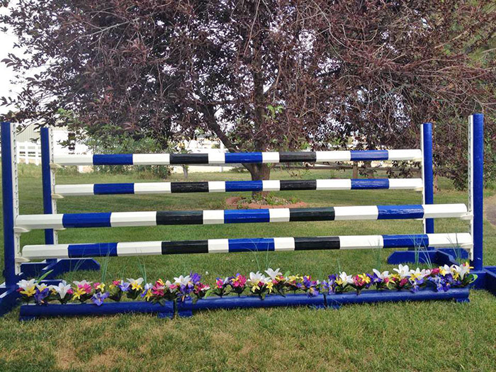 These are DIY horse jump rails that I made!