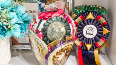 Creative Ways to Repurpose Horse Show Ribbons: DIY Projects to Cherish Your Wins