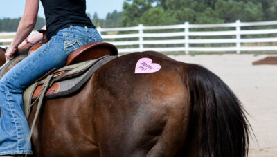 Spring Reset: 25 Simple Ways to Enjoy Your Horse This Season