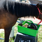 How to Make Boot Trees for Tall Boots - Budget Equestrian
