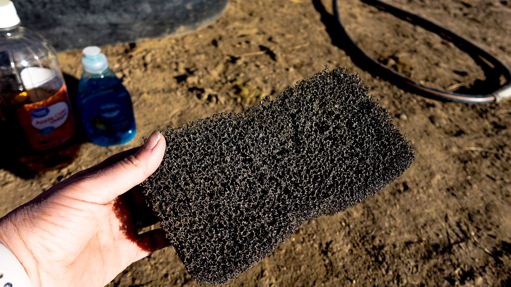 tiger's tongue sponge