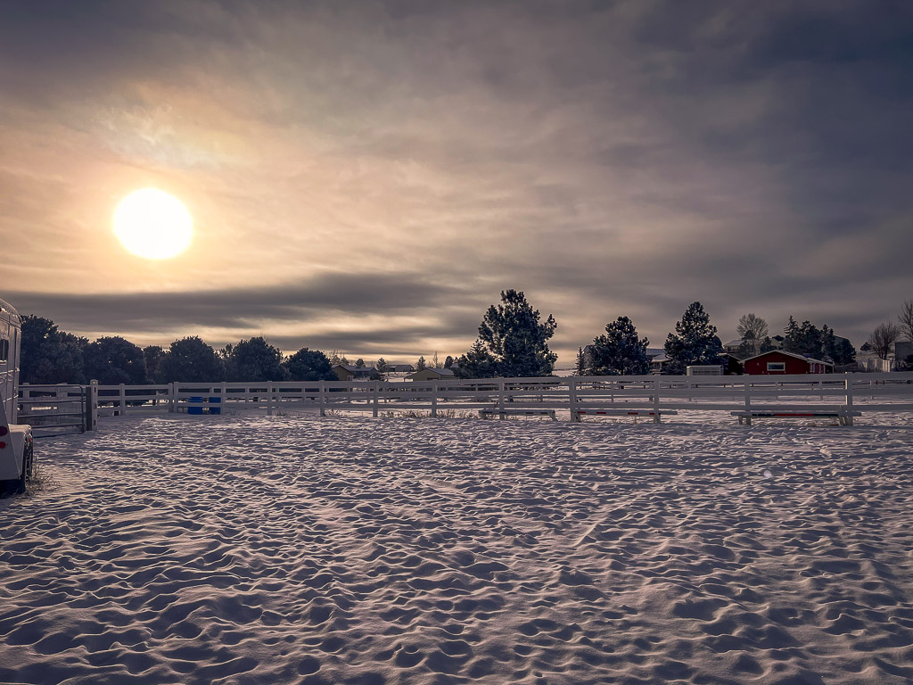 wintertime equestrian journaling