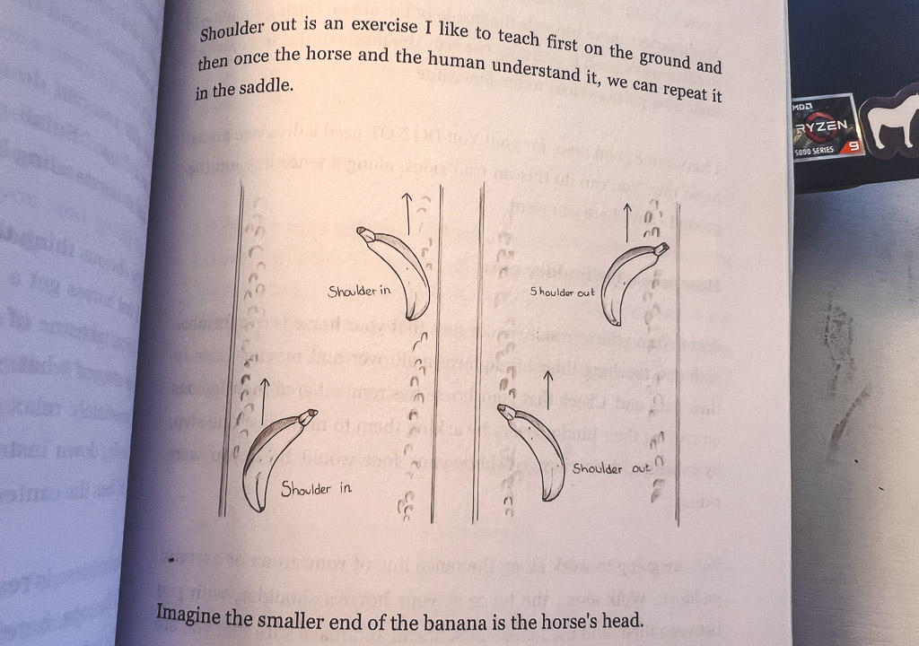 Elaine Heney's Dressage Book