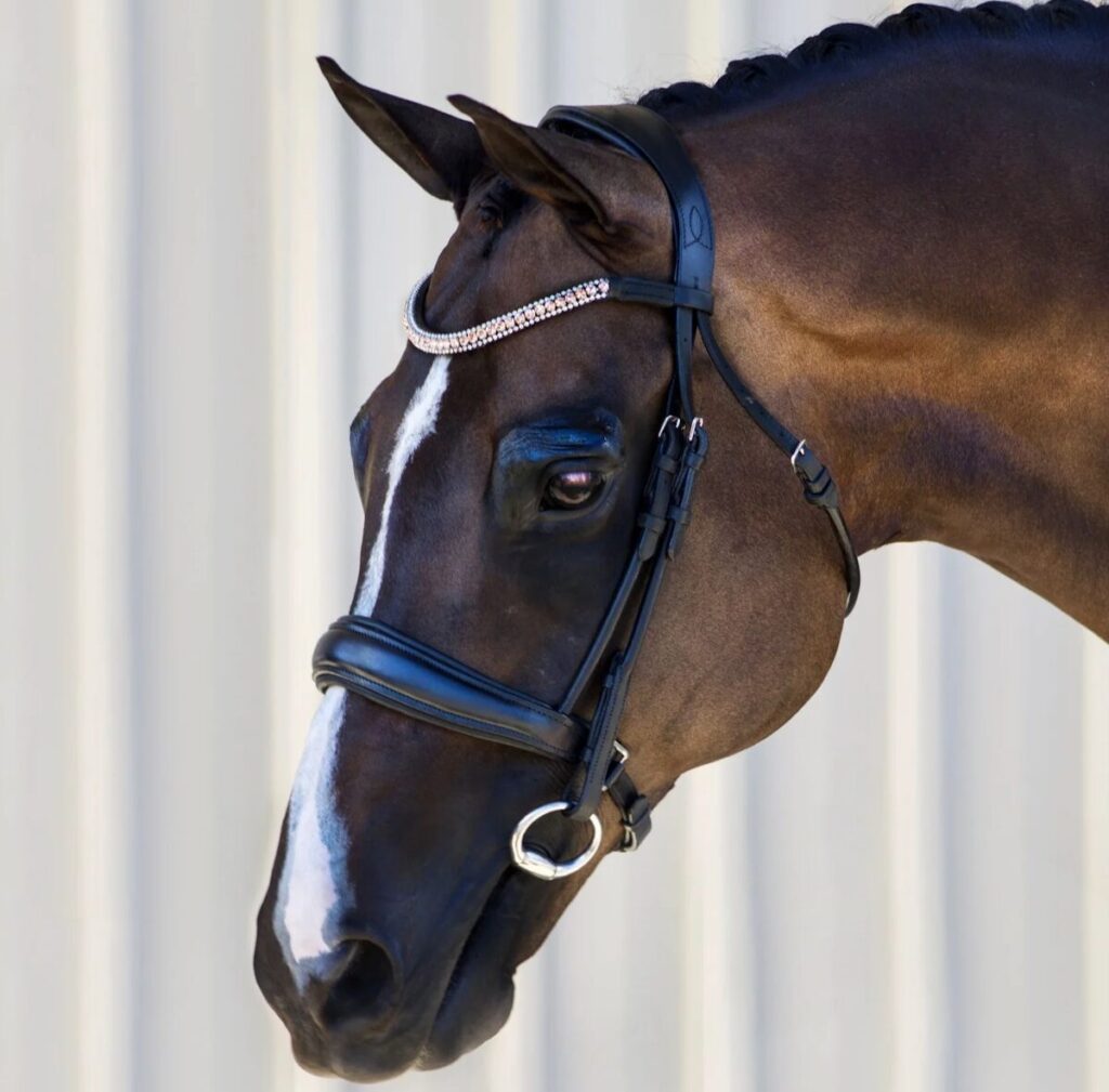 Equestrian Journaling