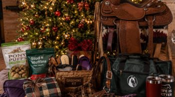 best gifts for horse owners