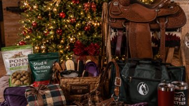best gifts for horse owners