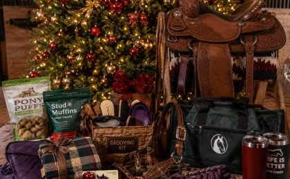 best gifts for horse owners