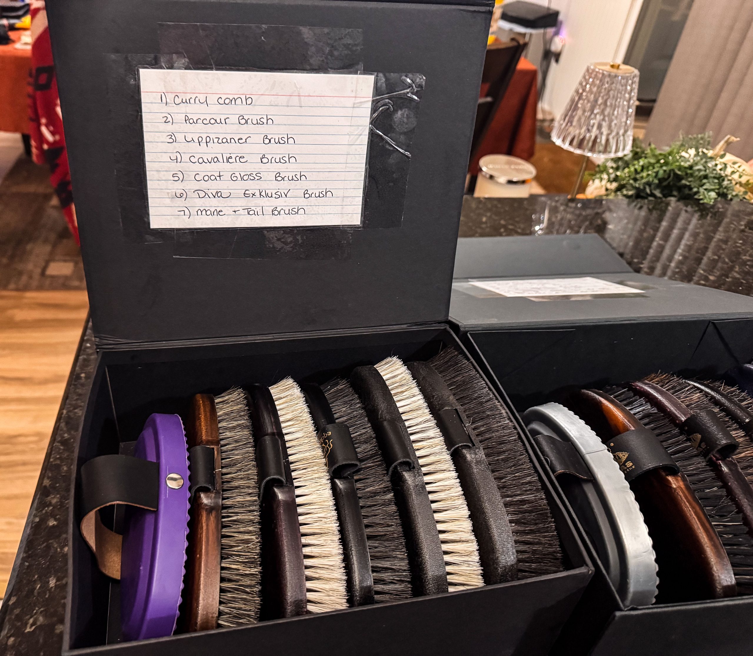 Checking Out The Eqclusive Horse Brushes