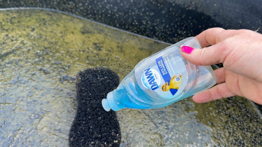 How to clean a horse water tank