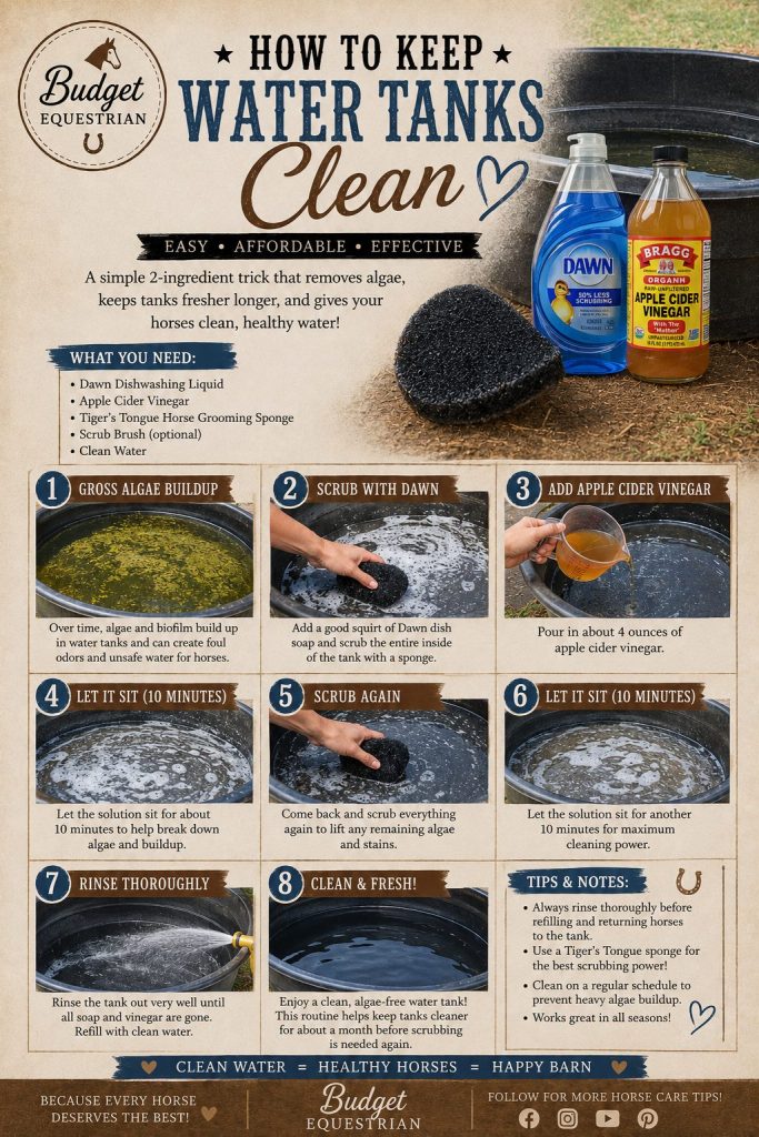How to Keep Water Tanks Clean for horse owners