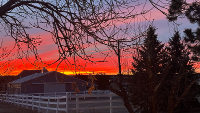 Fall at the Barn: Expectation vs. Reality for Horse Owners