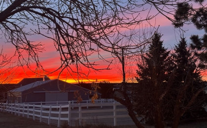 a bright sunrise over a horse barn with a leafless tree in the foreground