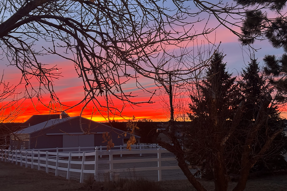 Fall at the Barn: Expectation vs. Reality for Horse Owners